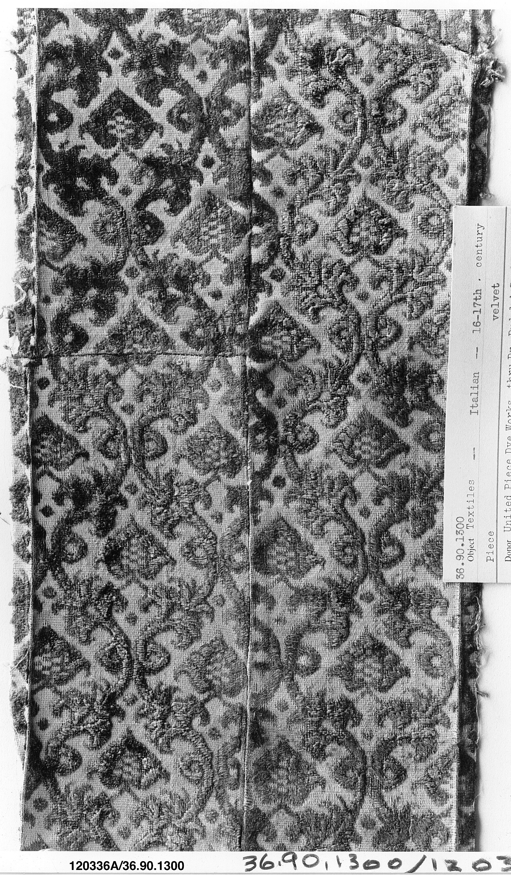 Research Specimen