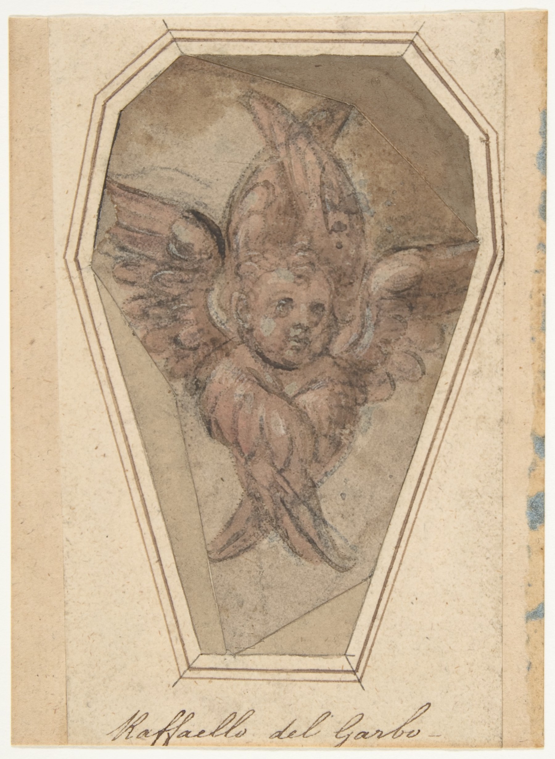 Research Specimen