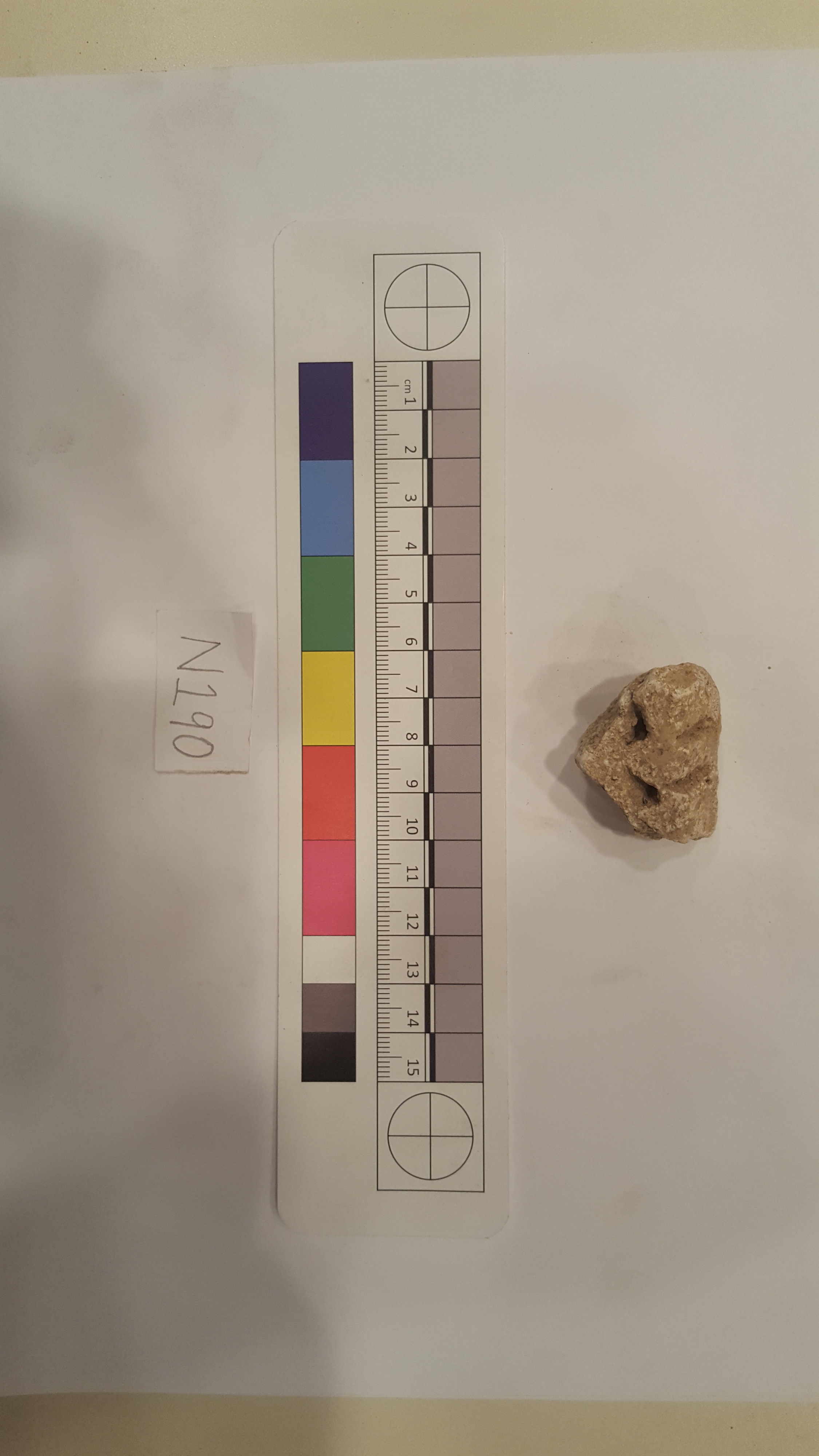 Research Specimen