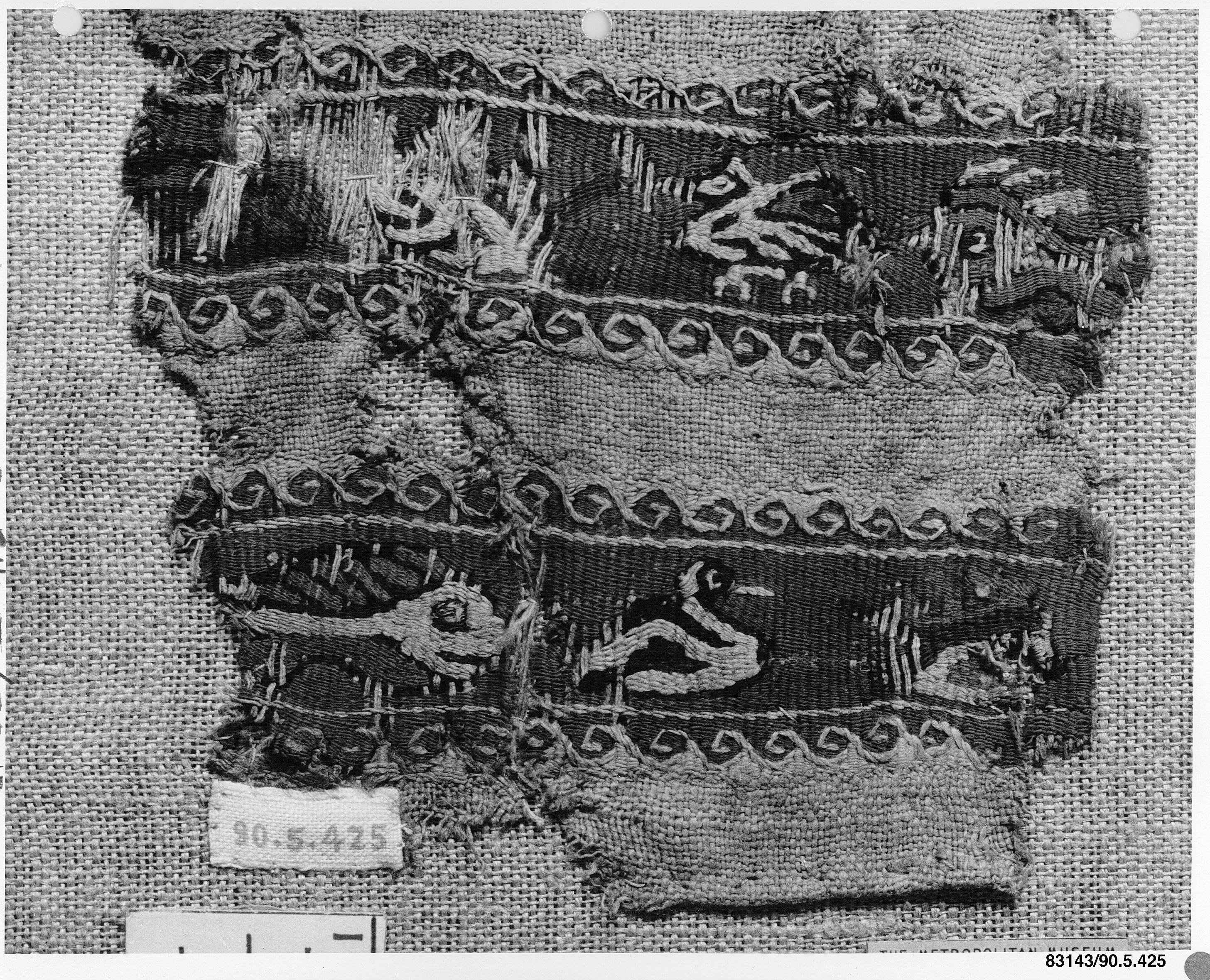Avant-Garde Specimen