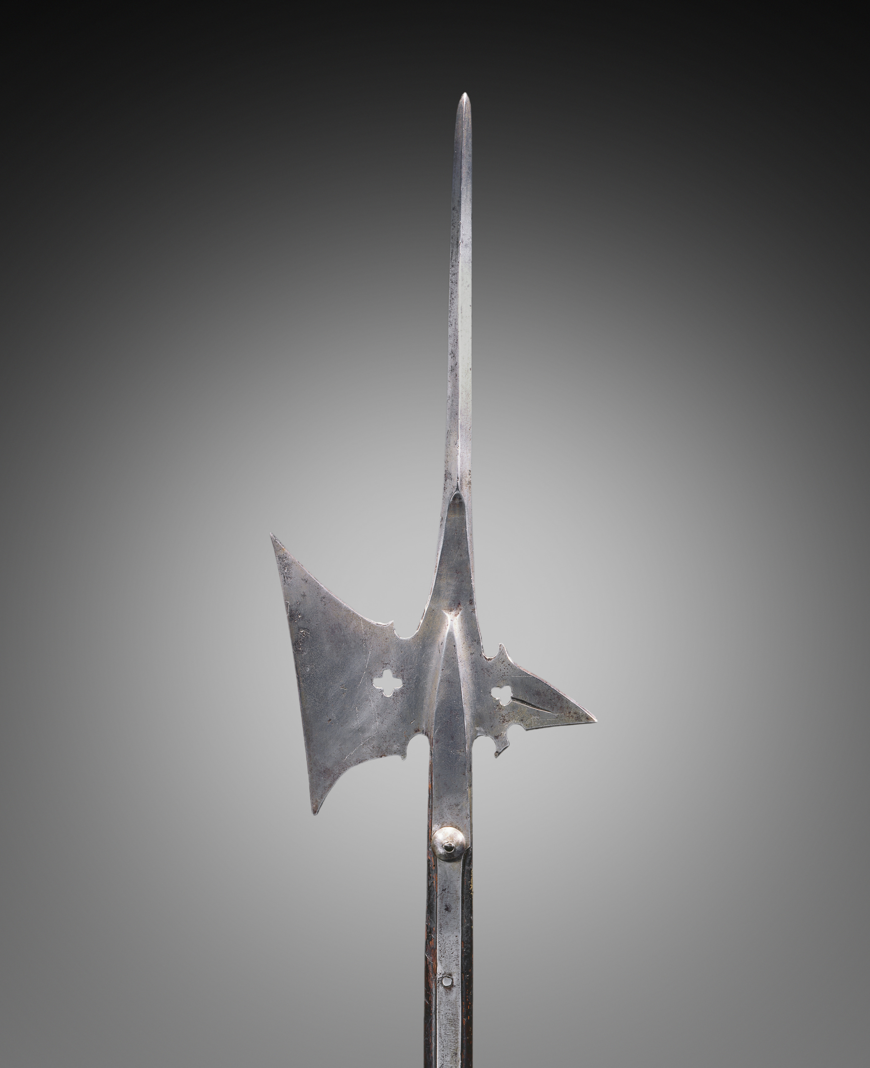 Avant-Garde Specimen