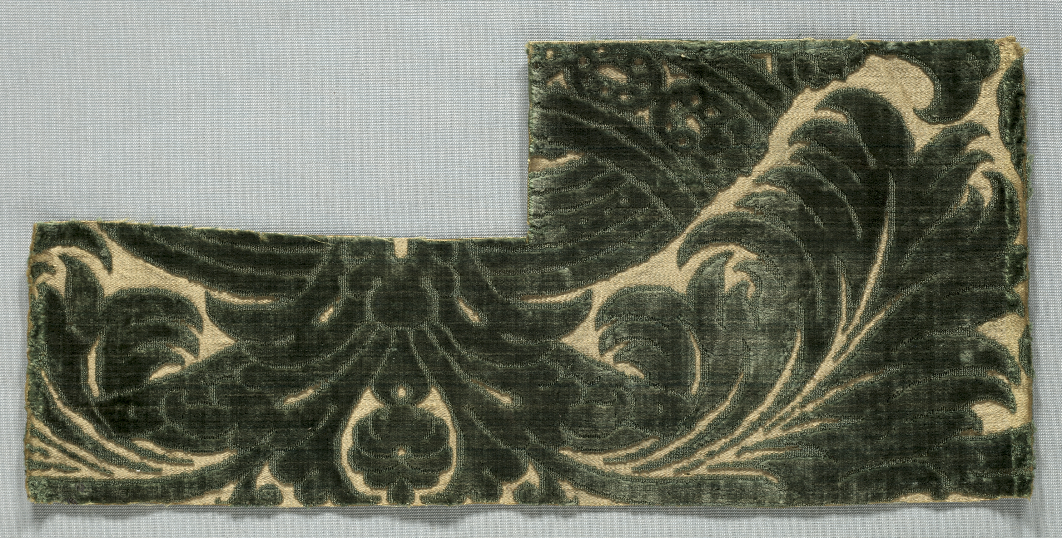 Research Specimen